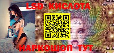 ПСИЛОЦИБИНОВЫЕ ГРИБЫ Новозыбков