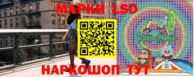 ПСИЛОЦИБИНОВЫЕ ГРИБЫ Новозыбков