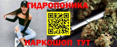 герыч Новодвинск